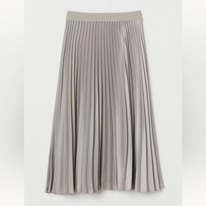 H&M Pleated Skirt